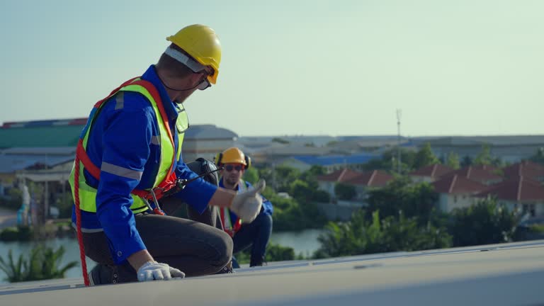 Best Green or Eco-Friendly Roofing Solutions  in Kaumakani, HI